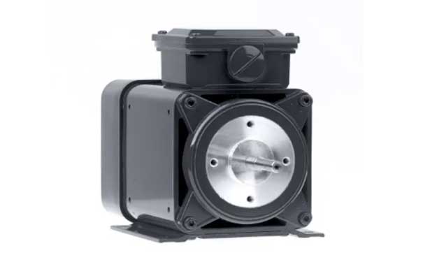 GROSCHOPP异步电机（2/4极带风扇IGLC 120-60）